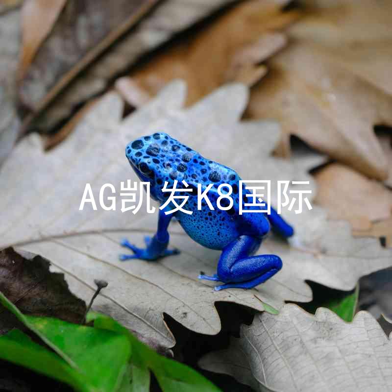 AG凯发K8国际