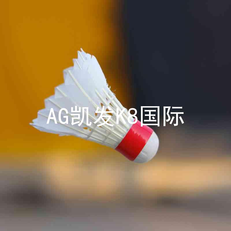 AG凯发K8国际